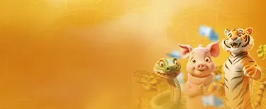Banner Jogo do Bicho